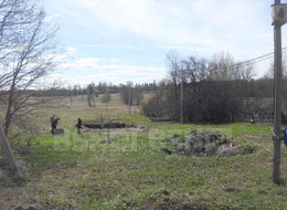 Продажа земельного участка - Ленинградская область, Волосовский район, Большие Озертицы д. 