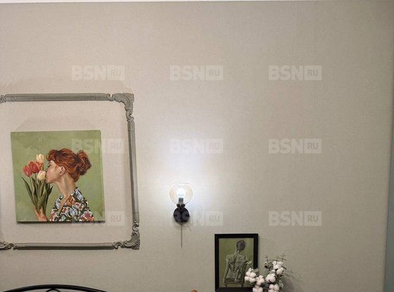 Продажа однокомнатной квартиры - Мурино, Екатерининская улица, д.17 