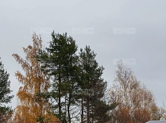 Продажа коттеджа - поселок Сосново, Сосновский-15 проезд, д.7