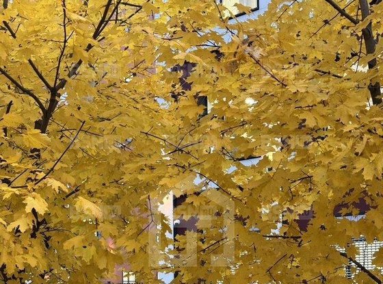 Продажа однокомнатной квартиры - Военная улица, д.18, корп.2 