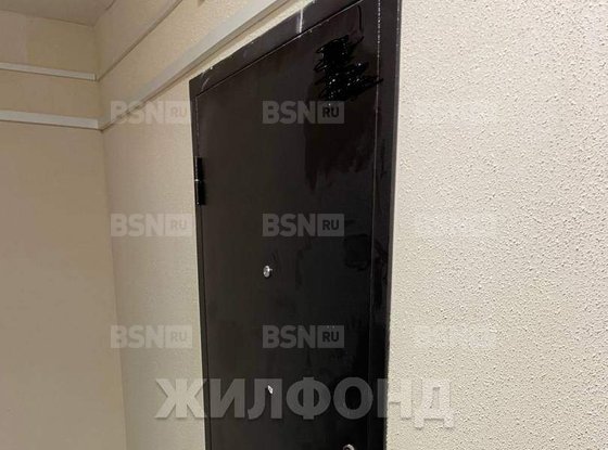Продажа двухкомнатной квартиры - Мурино, Шоссе в Лаврики улица, д.95 