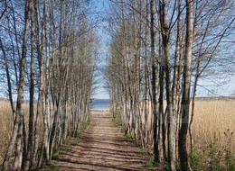 Продажа дома - Прибылово п.